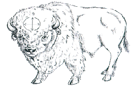 White Buffalo is Lost White  Brother -- Bahana.